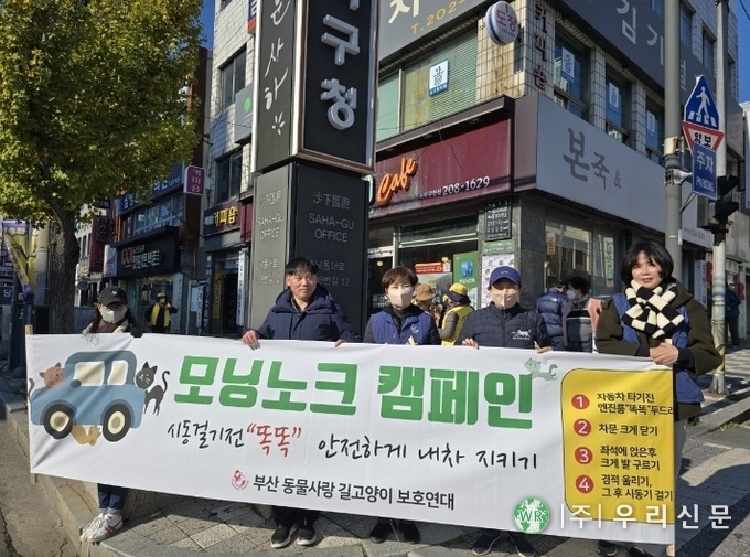 <strong>캠페인 벌인 부산동물사랑길고양이보호연대 (사진/</strong>부산동물사랑길고양이보호연대 )